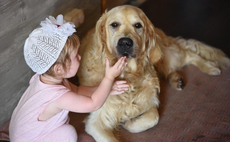 kindness for kids